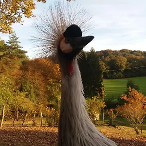  Séjour chez l'habitant Angelina Et Ses Animaux